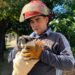 Solano: los Bomberos rescataron un gato que se había caído a un pozo