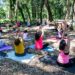 Lanzan actividades gratuitas, deportivas y recreativas en espacios públicos de Brown