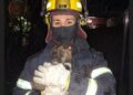 Los bomberos rescataron mascotas de un incendio en una casa de Glew