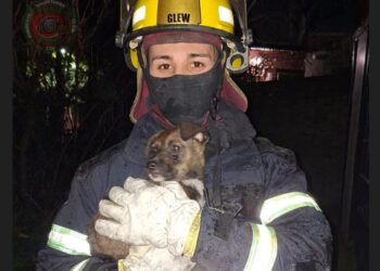 Los bomberos rescataron mascotas de un incendio en una casa de Glew