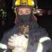 Los bomberos rescataron mascotas de un incendio en una casa de Glew