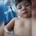 San José: buscan a un conductor que atropelló a un niño de 2 años y escapó